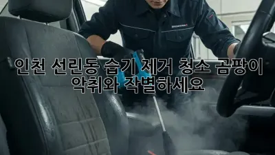 인천 선린동 습기 제거 청소: 곰팡이 악취와 작별하세요!
